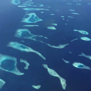  CANAREEF RESORT MALDIVES 4****